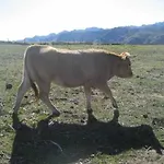 Lägenhet Valdecarzana Senda Del Oso San Martin (Asturias)