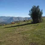 Lägenhet Valdecarzana Senda Del Oso *