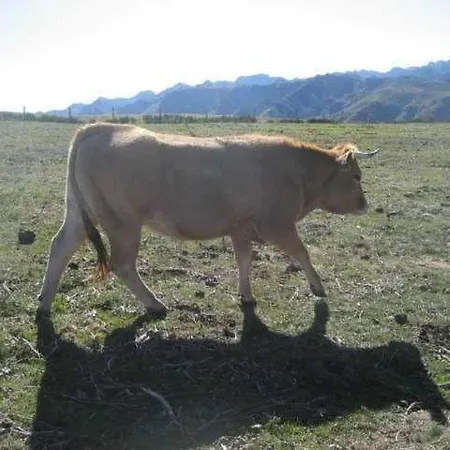 Apartament Valdecarzana Senda Del Oso San Martin (Asturias)