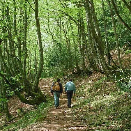 Valdecarzana Senda Del Oso Apartament