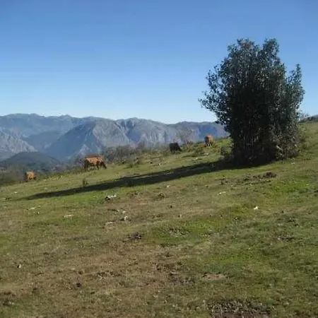 Apartamento Vigidel San Martín -teverga *